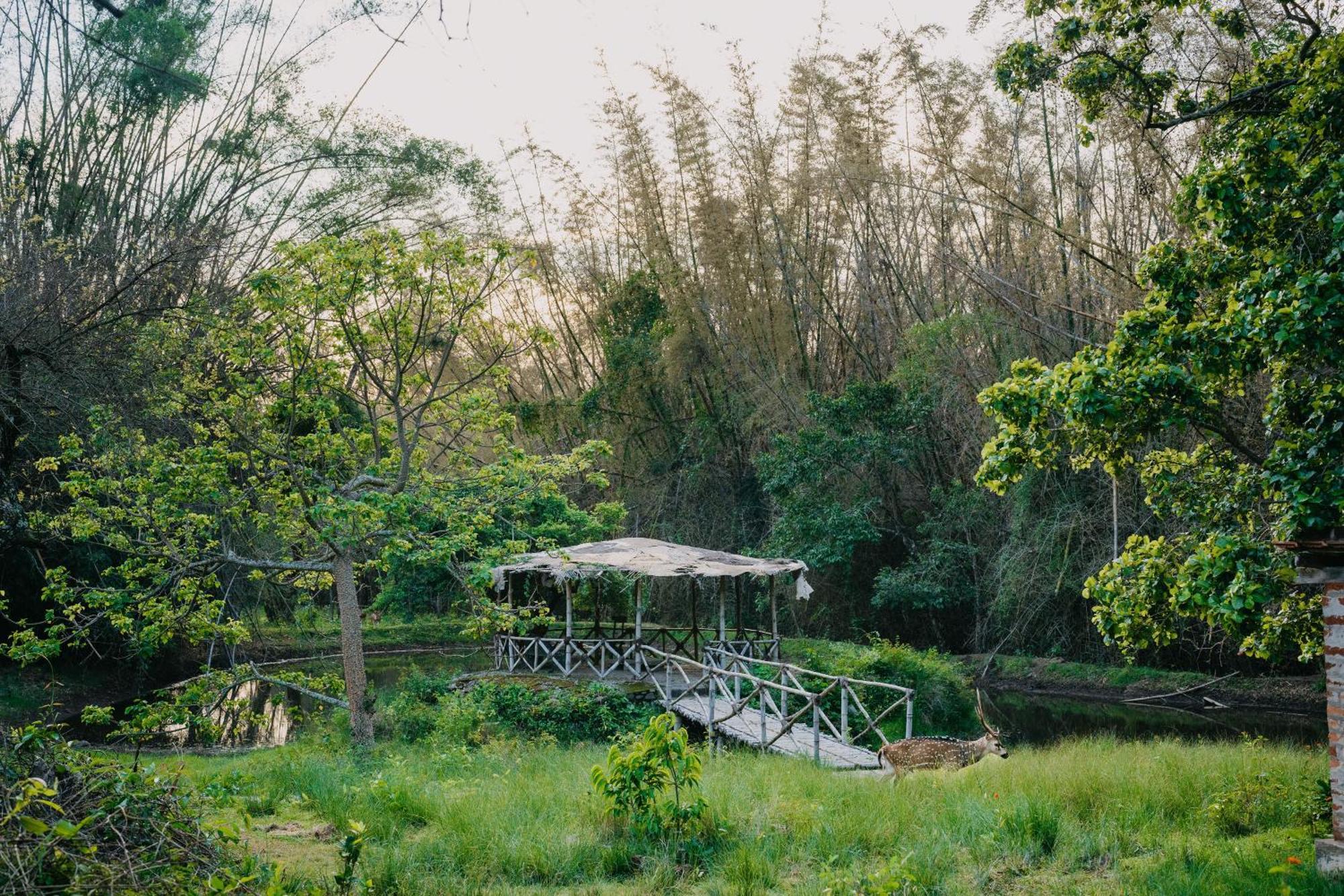 Jungle Hut Hotel มาสินากุดี ภายนอก รูปภาพ